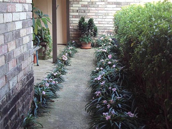 2nd image of 221 Alta Mira Dr