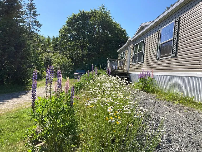 Front of house in Spring