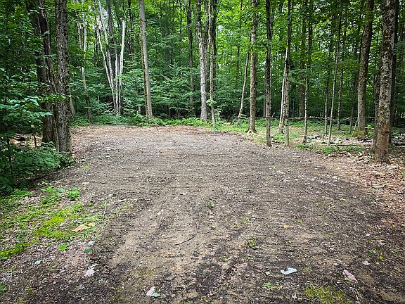 4th image of Trout Brook Rd Lot Wp001