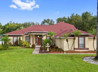2818 Mossy Timber Trl, Valrico, FL 33596