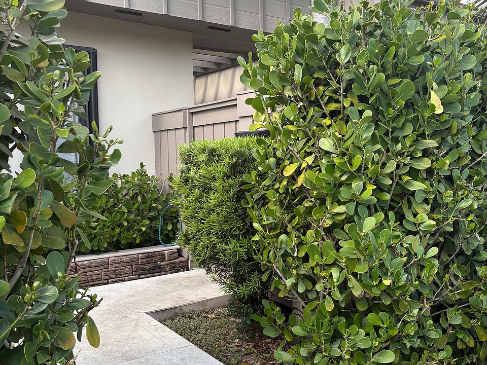 Front Walkway