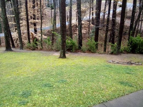 view from front porch