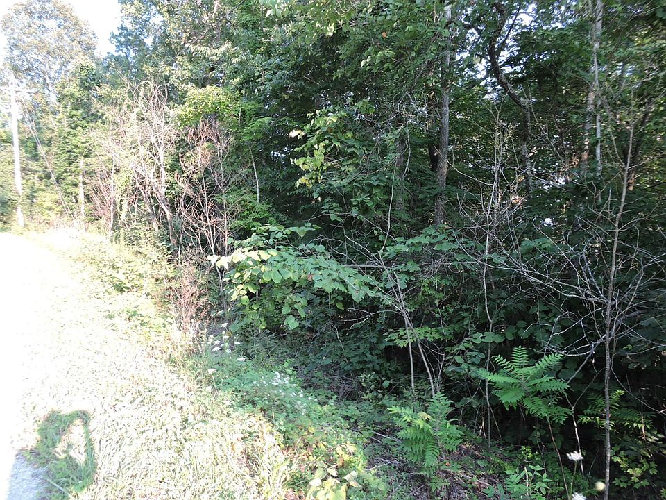 2nd image of Dogwood Trl E