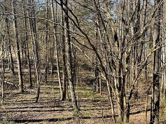 4th image of 0 Point View Dr Lot 25