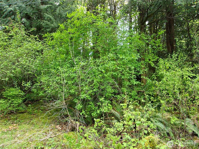 5th image of 0 River Road