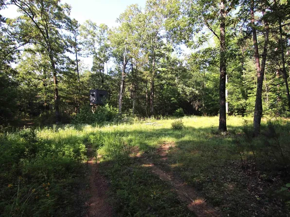 0 Caleb Ln, Clinton, AR 72031