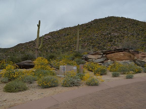 3rd image of 5186 W Gallery Canyon Pl