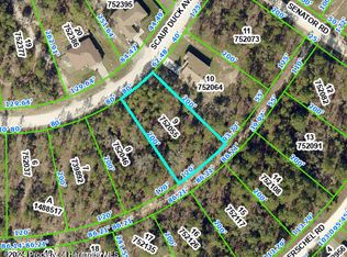 15306 Scaup Duck Ave, Weeki Wachee, FL 34614