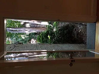 Rented by Downtown Realty Group LTD