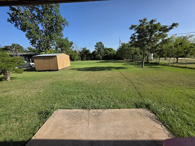 Back yard