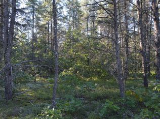 20590 Pleasant Valley Rd, Hillman, MI 49746