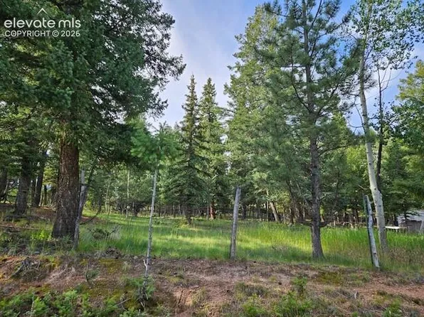 Rolling Park Dr, Woodland Park, CO 80863