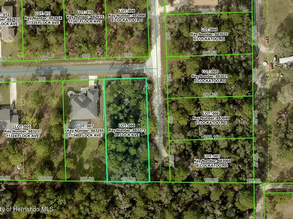LOT 8 Flock Ave, Brooksville, FL 34613
