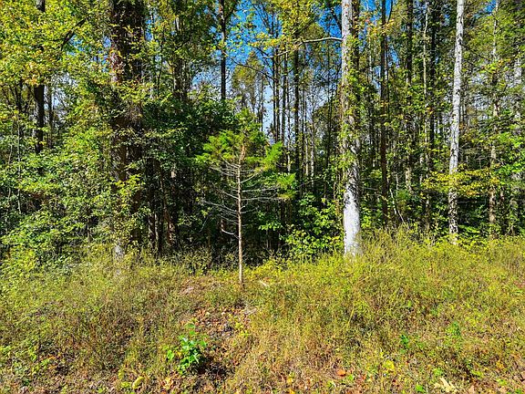 3rd image of 0 Timber Lake Drive