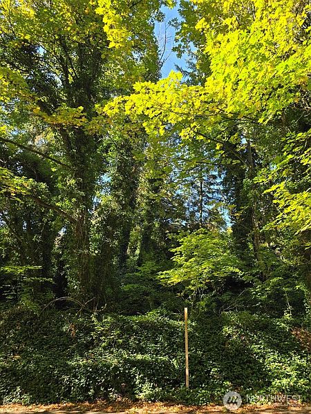 3rd image of 0 37th Place S