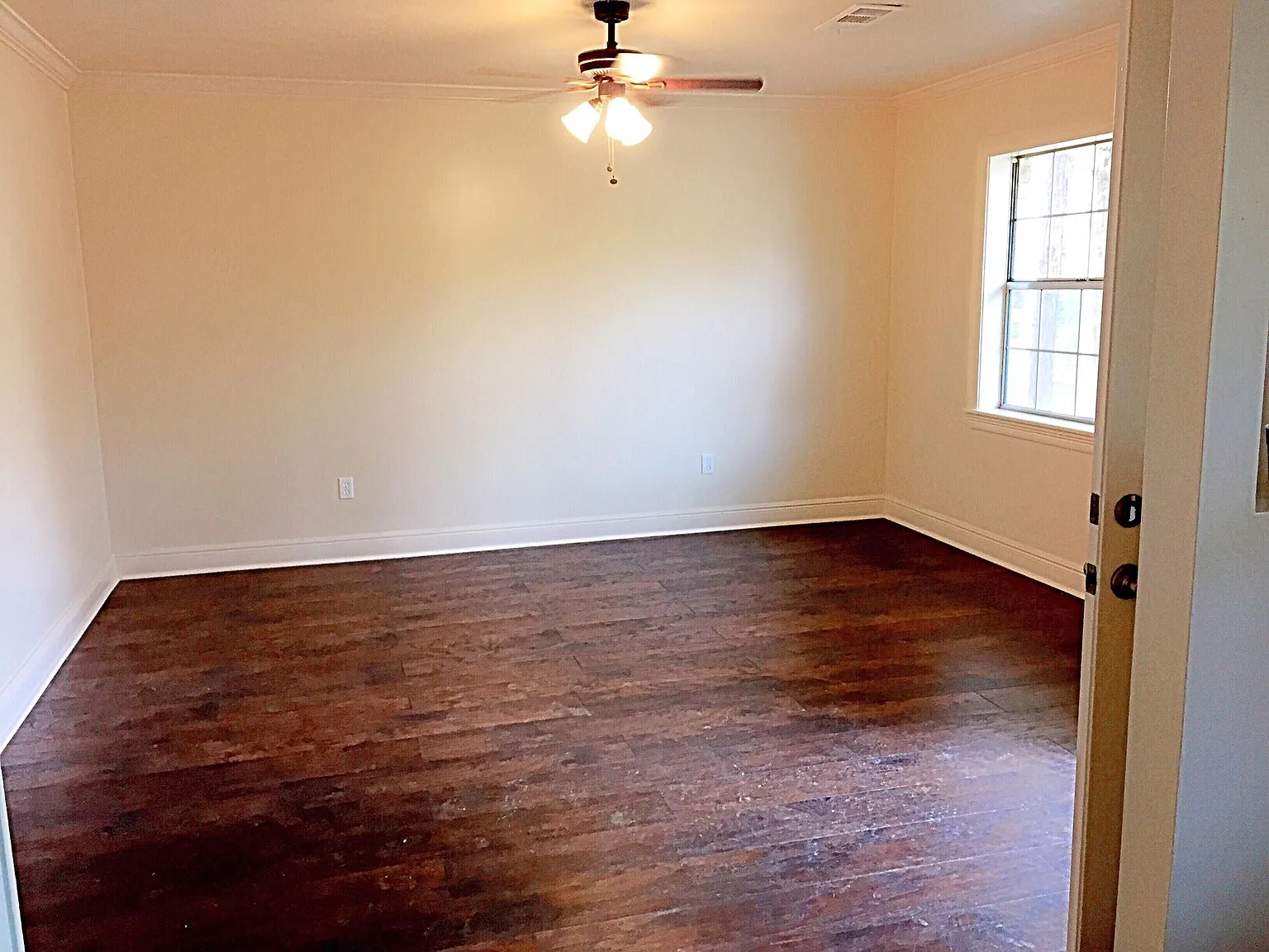 161 Castor Plunge Rd — Photo 4