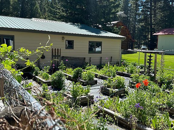 Raised beds back yard