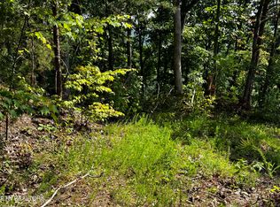 Huckleberry Way, Sevierville, TN 37862