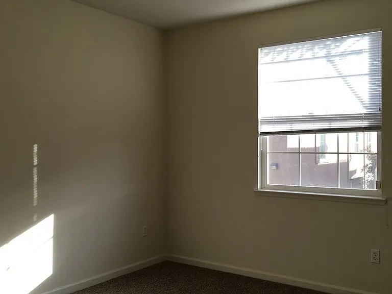 7515 Sheldon Rd #4102 — Photo 4