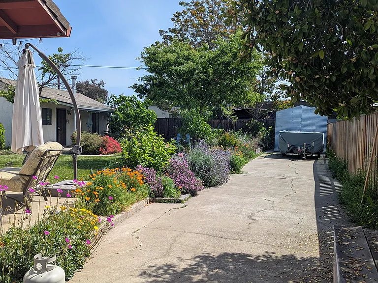 Backyard from driveway