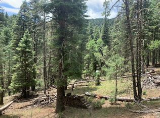 Sneaky Pete Ct #1, Cloudcroft, NM 88317