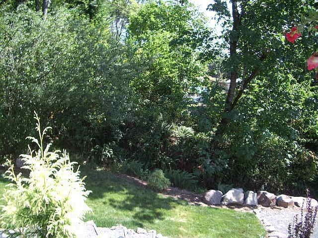 Large Landscaped Lot with Seasonal Creek and Natural Waterfall!!!