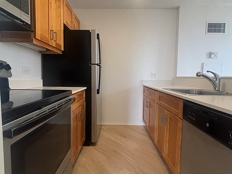 745 N Dearborn St #1003 — Photo 2