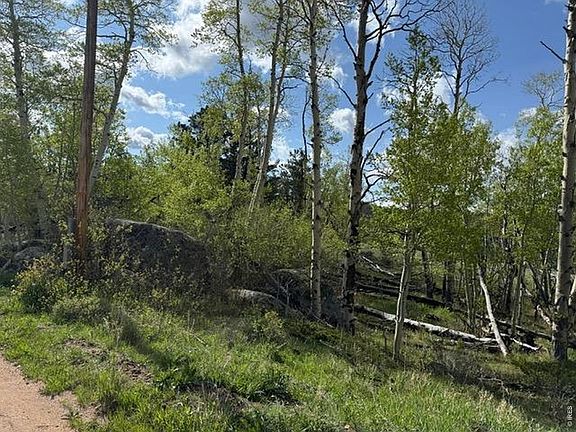 5th image of 137 Cimarron Rd