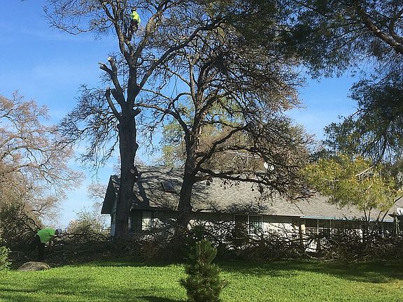 3rd image of 2800 Penny Ln