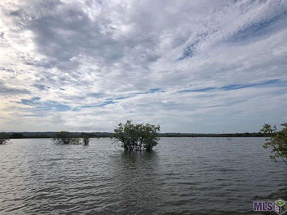 5th image of 0 Lake Mary Foster Lck