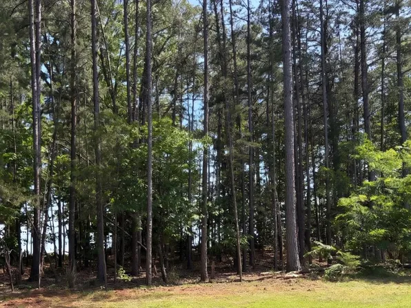 0 Wyatts Way, Evington, VA 24550