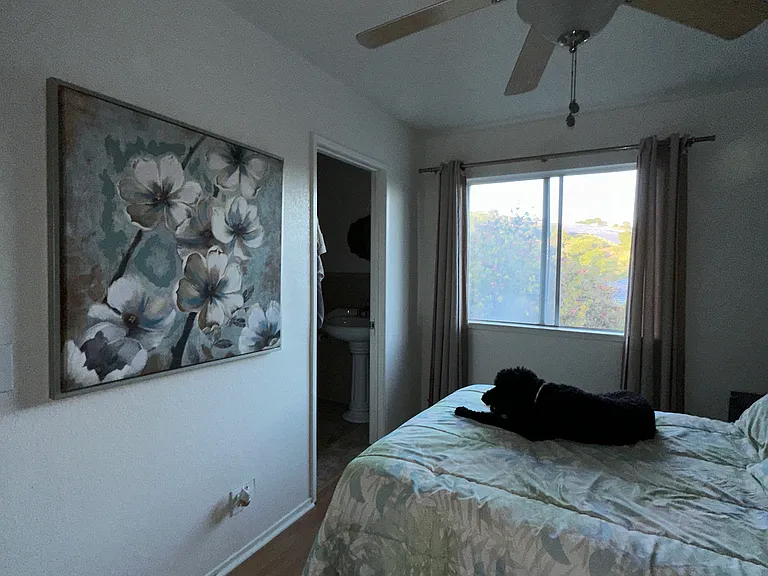 409 Camino Del Remedio #A — Photo 7