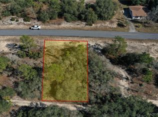 10418 N Spaulding Dr, Citrus Springs, FL 34433