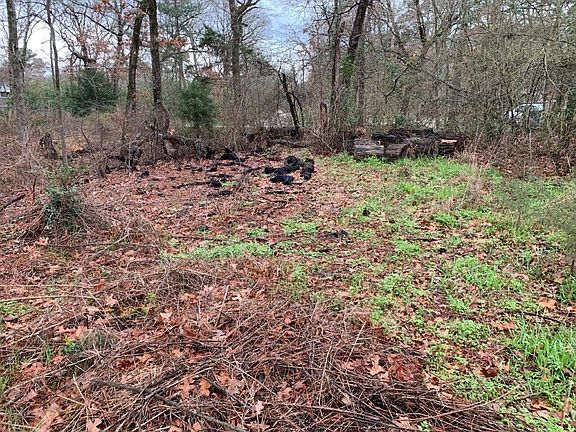 5th image of 7552 Forest Hill Dr