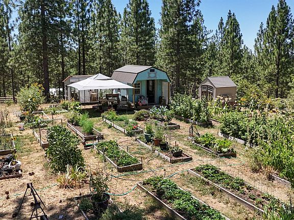 5th image of 11823 Lost Ranch Way