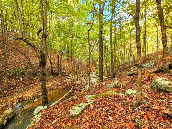 88 Buffalo Mountain Rd, Talihina, OK 74571