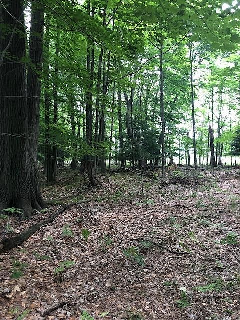 2nd image of 0 Meinert Rd