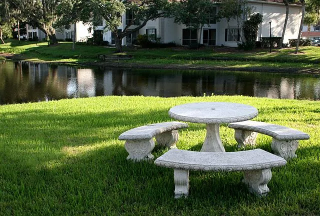 10358 Carrollwood Ln #201 — Photo 20
