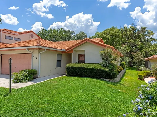 503 Palma Ceia Point, Inverness, FL 34450