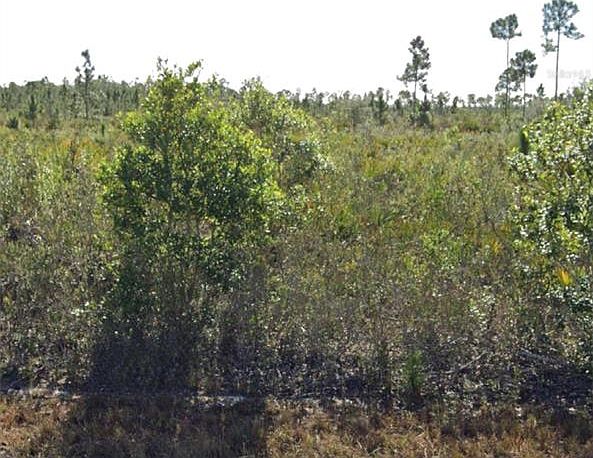 1st image of 903 CALLIANDRA DRIVE LOT 2