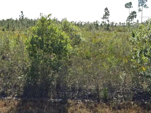 903 Calliandra Dr #2, Indian Lake Estates, FL 33855