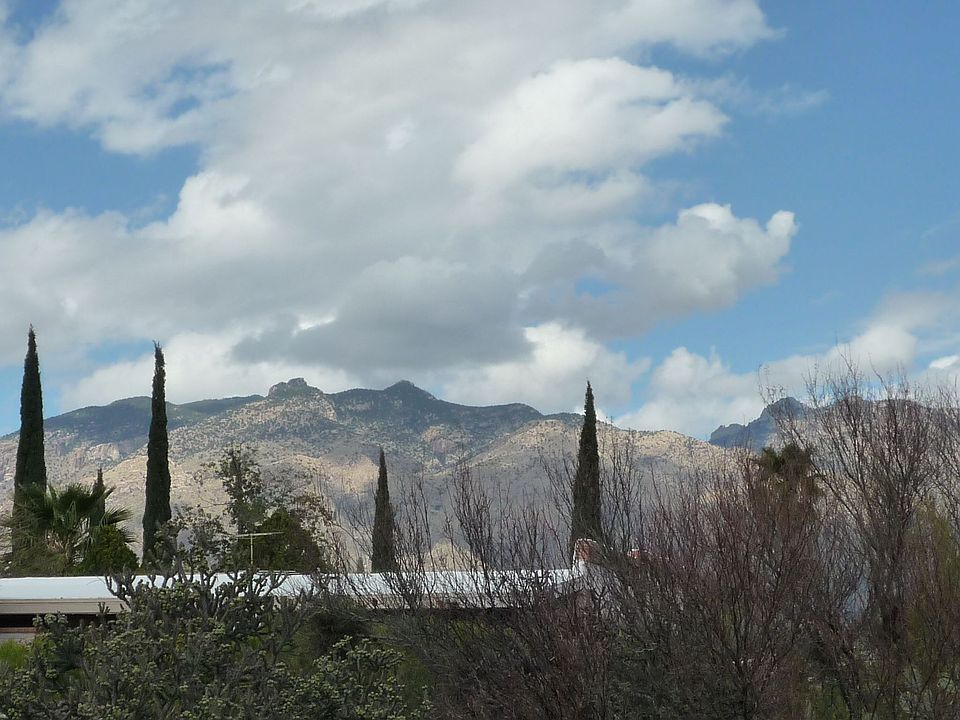 view of the catalinas