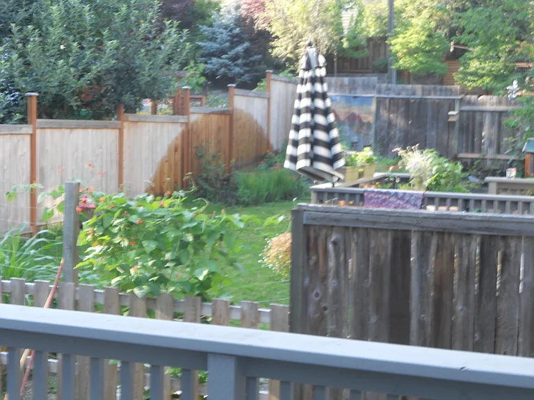 3310 Olive St #3310 — Photo 22