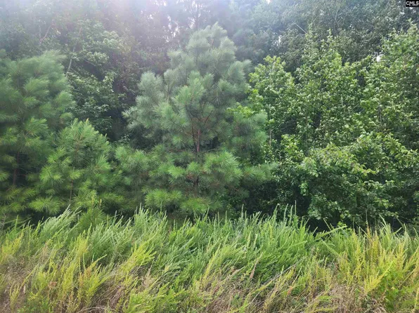 Forest Ridge Dr #26, Newberry, SC 29108