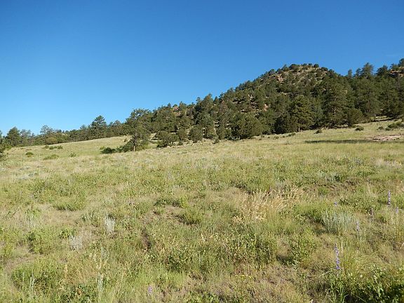 3rd image of 1002 County Road 111