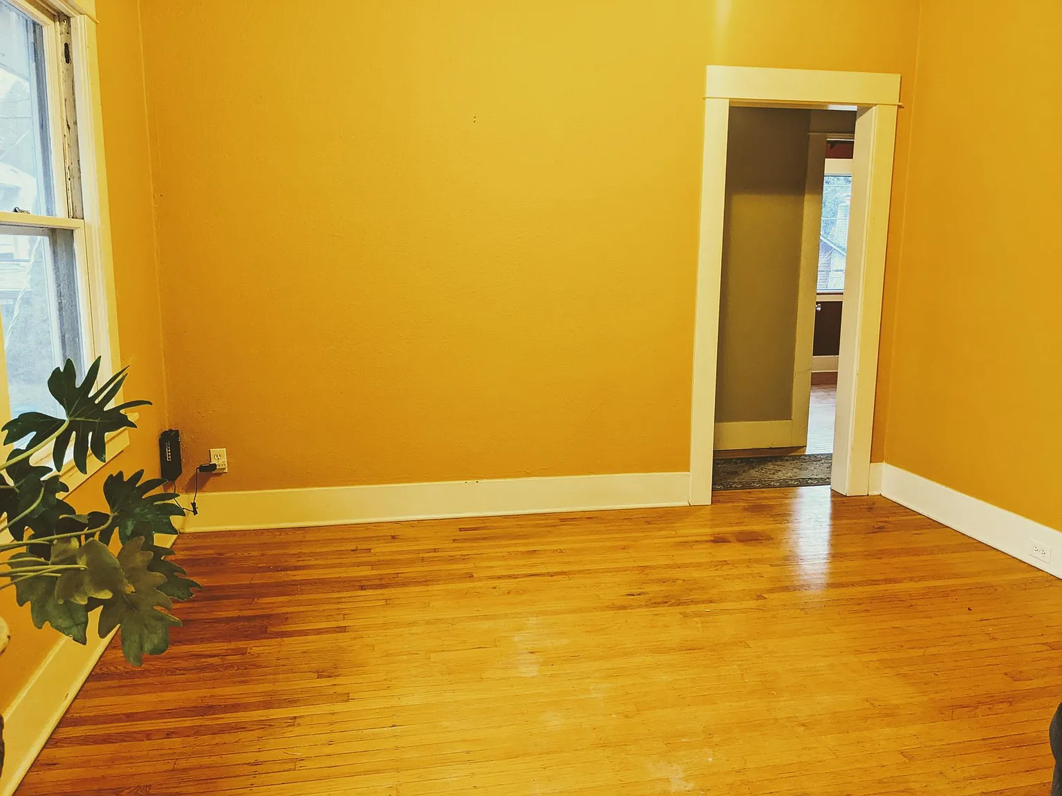 3 bed, 1250 sqft, $2,995 — Photo 2