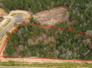 6909 Hollyleaf Ct, Montgomery, TX 77316