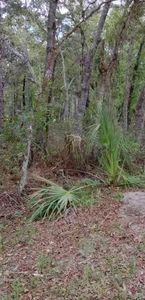 0 Macy Rd #4, Brooksville, FL, 34614