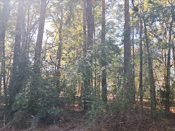 5th image of 0 Highway 165 #2