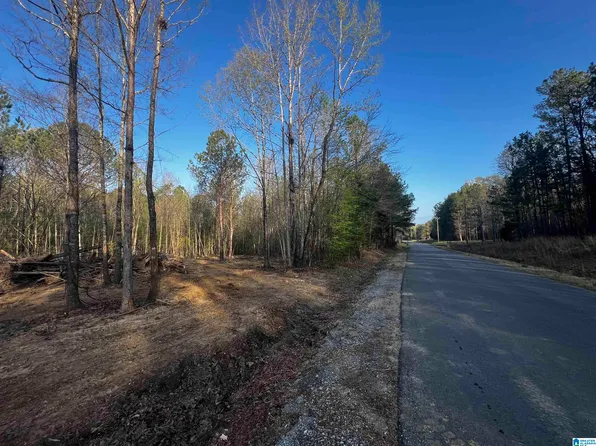 0 Francis Mill Rd Tract 1, Ohatchee, AL 36271